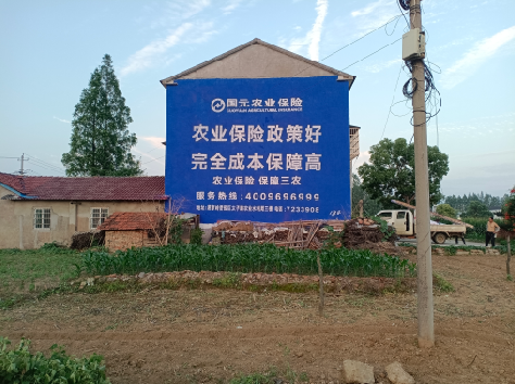 大邑墙体广告的优劣势你知道吗？