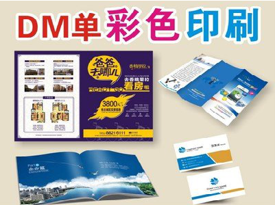 大邑单页印刷，色彩搭配简单。